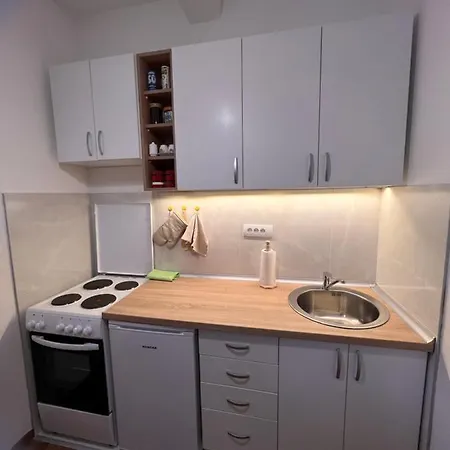 Djoric 2a Apartment Zlatibor